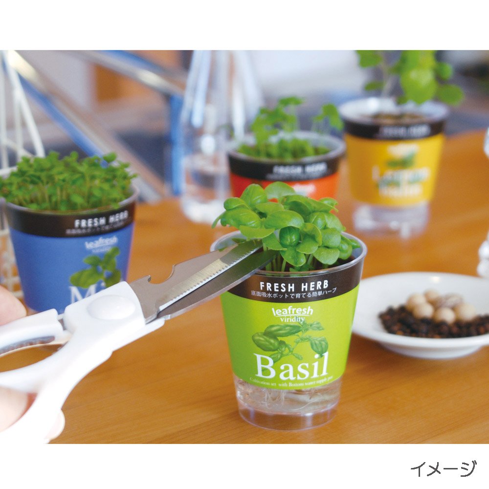 ヴィンテージ　ハーブ　アート　FRESH HERBS 本物みたい♪ミントハーブとローズマリーの癒しの空間を【お